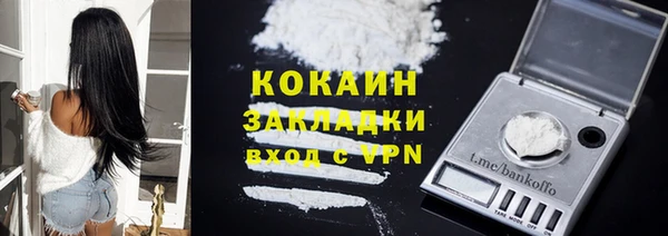 тгк Алексин