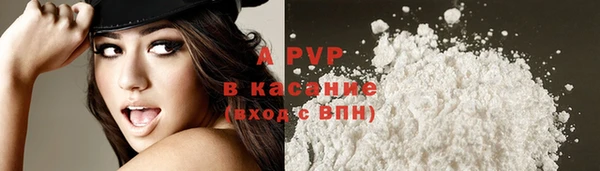 шишки Аркадак