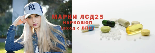 шишки Аркадак