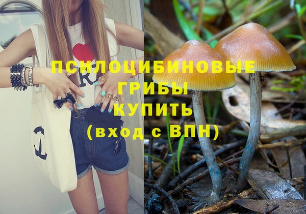 тгк Алексин