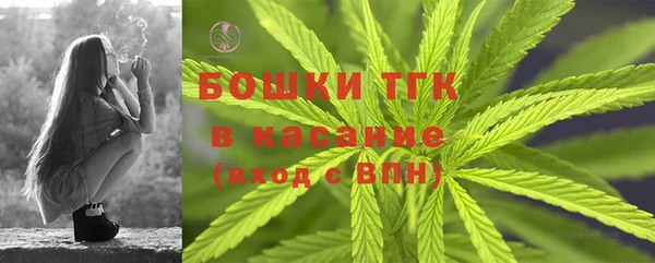тгк Алексин